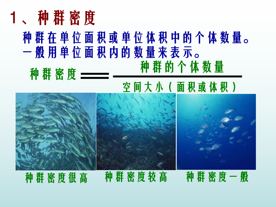 种群特征数量变化课件.ppt_第3页