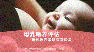 母乳喂养评估--母乳喂养促进策略指南解读(终版)医学课件-.ppt