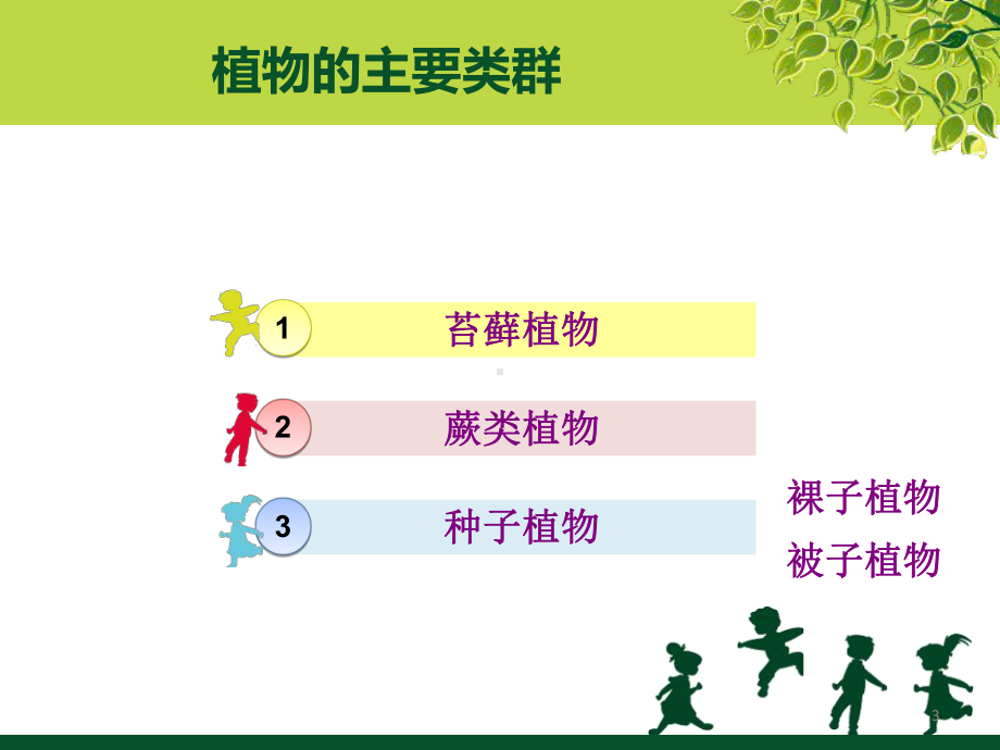 植物的主要类群课件.ppt_第3页