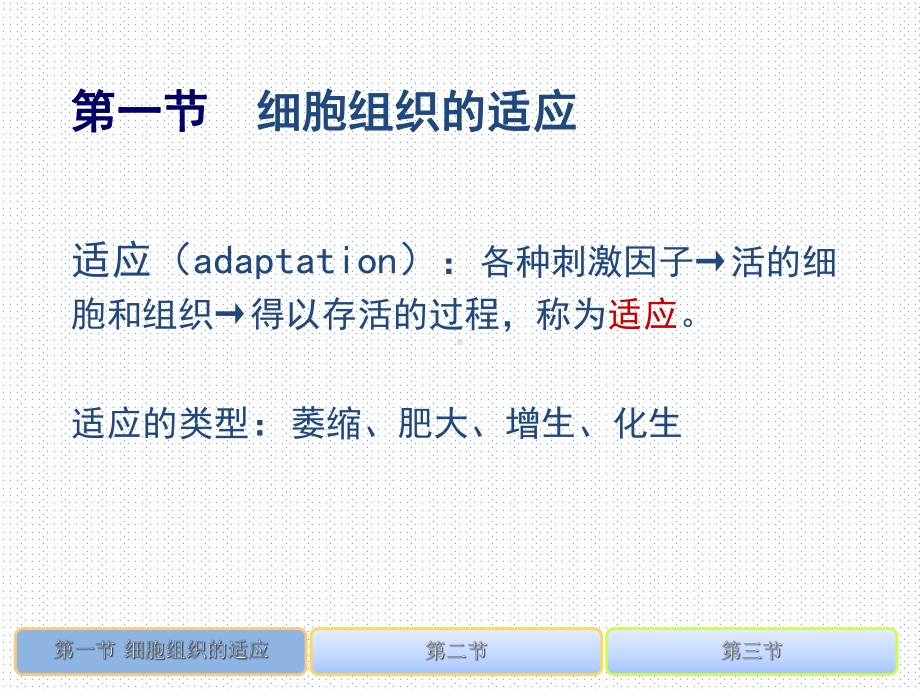 疾病学基础-第二章-组织适应损伤与修复课件.ppt_第3页