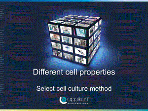 生物反应器课件-Different-cell-properties-Select-cell-culture-method.ppt