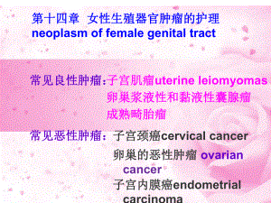 妇产科护理学(同名328)课件.ppt