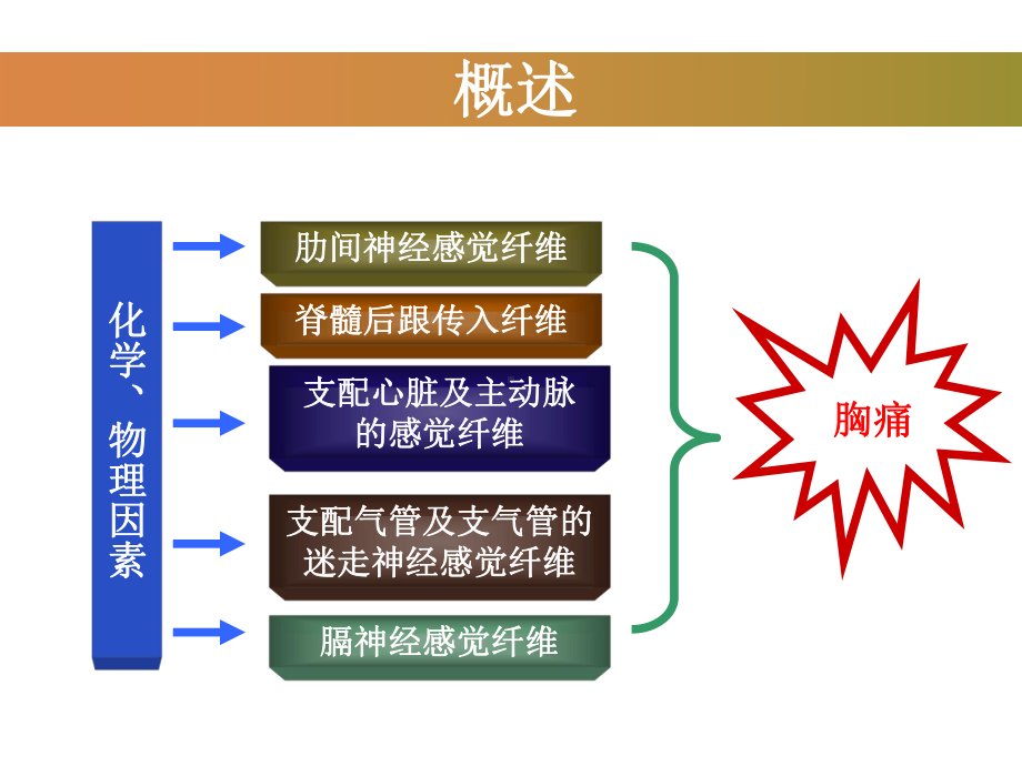 神经官能症等胸痛高危疾病课件.ppt_第3页