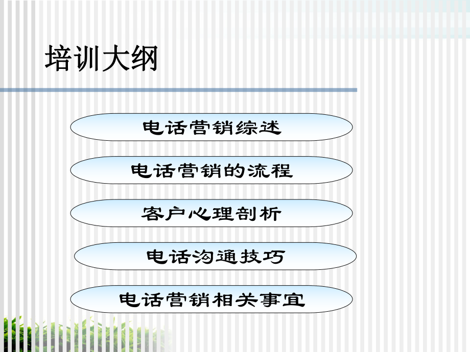 电话营销培训教材模版课件.ppt_第2页