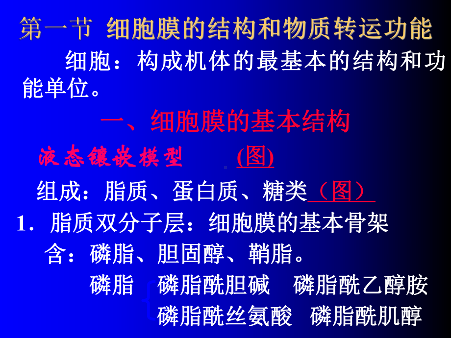 生理学课件细胞生理学().ppt_第3页