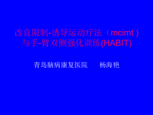 改良限制疗法课件.ppt