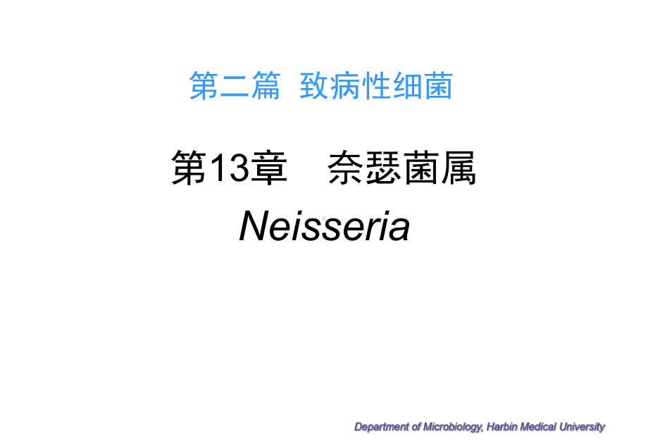 微生物学-第13章-奈瑟菌属-13-Neisserria课件.ppt_第1页