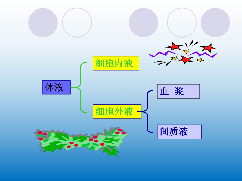 小儿体液平衡特点和液体疗法课件.ppt_第3页