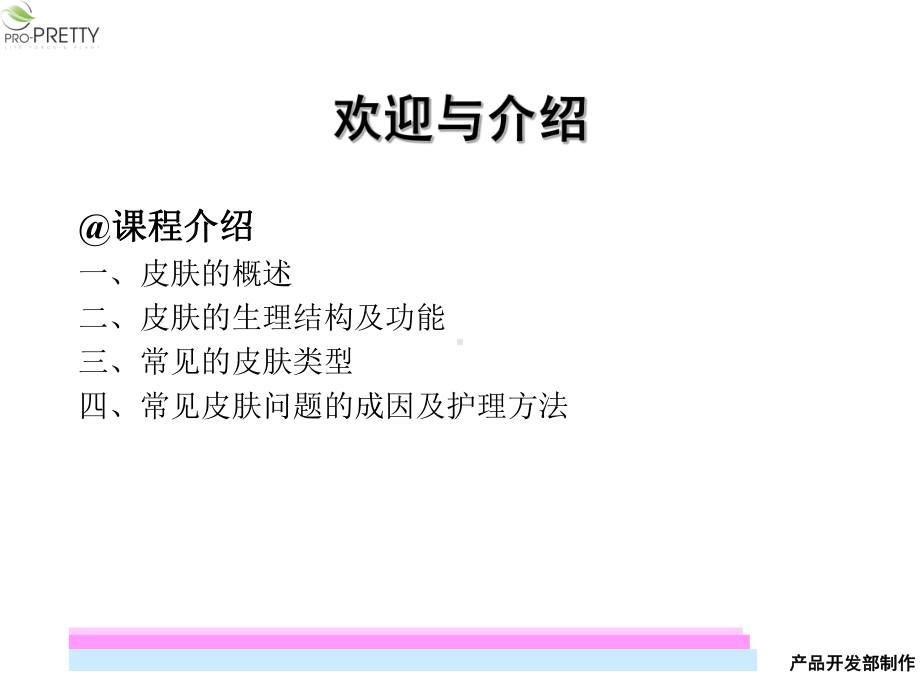 皮肤知识培训课件.ppt_第2页