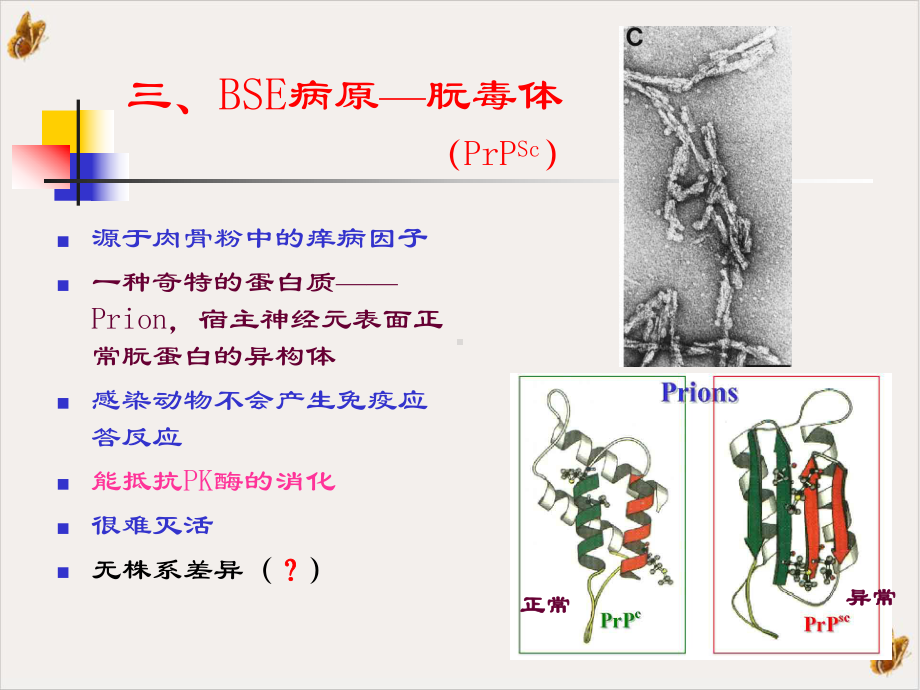 疯牛病检测规范与防控课件.pptx_第3页