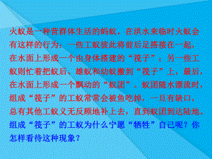 社会行为课件22-人教版优秀课件.ppt