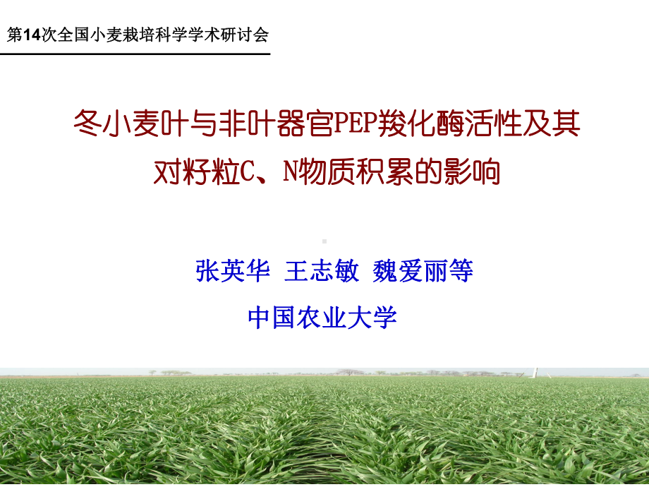 小麦会-教学讲解课件.ppt_第1页