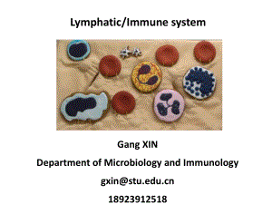 医学英语医英immunesystem课件.ppt