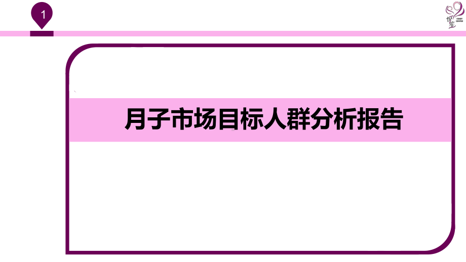 月子会所市场目标人群分析报告课件.pptx_第1页