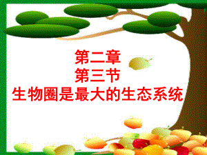 生物圈是最大的生态系统课件.ppt