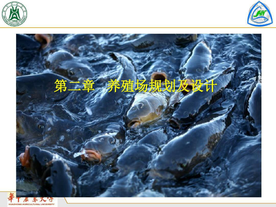 水产养殖工程养殖场规划及设计课件.ppt_第1页