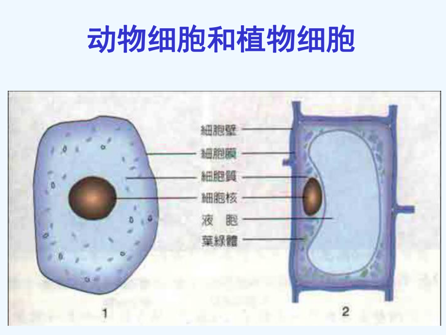 浙教版七年级上科学第二章复习课件.ppt_第3页