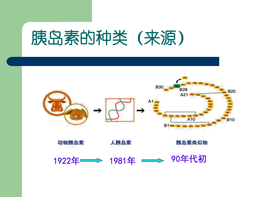 最新-胰岛素的种类和用法课件.ppt_第2页