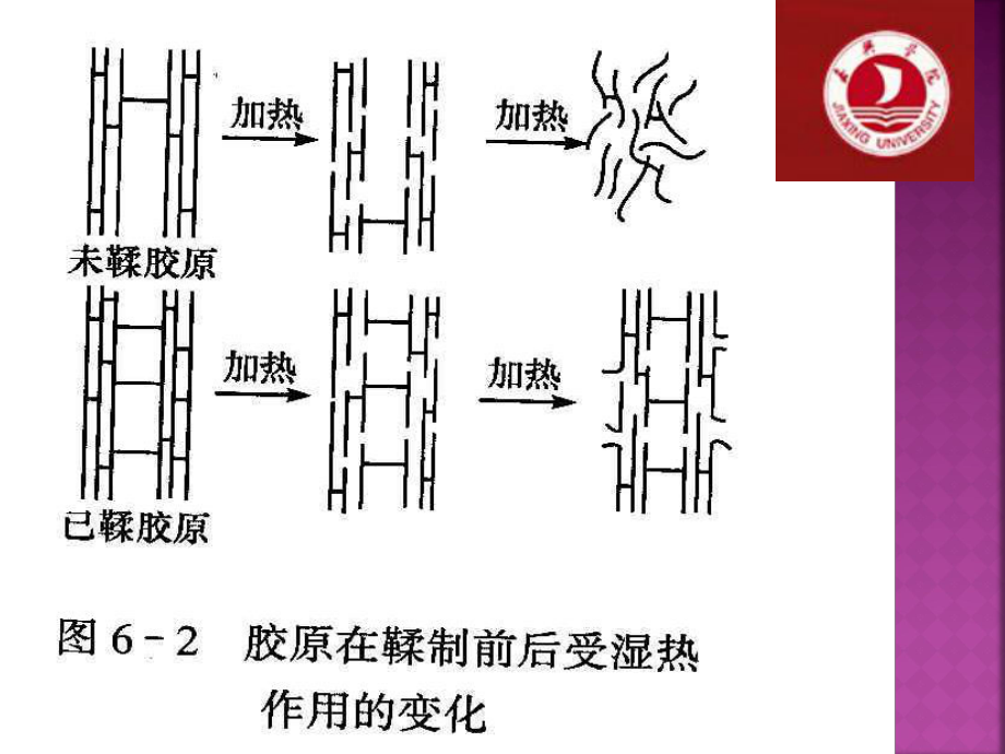 毛皮鞣制方法的选择与应用课件.pptx_第2页