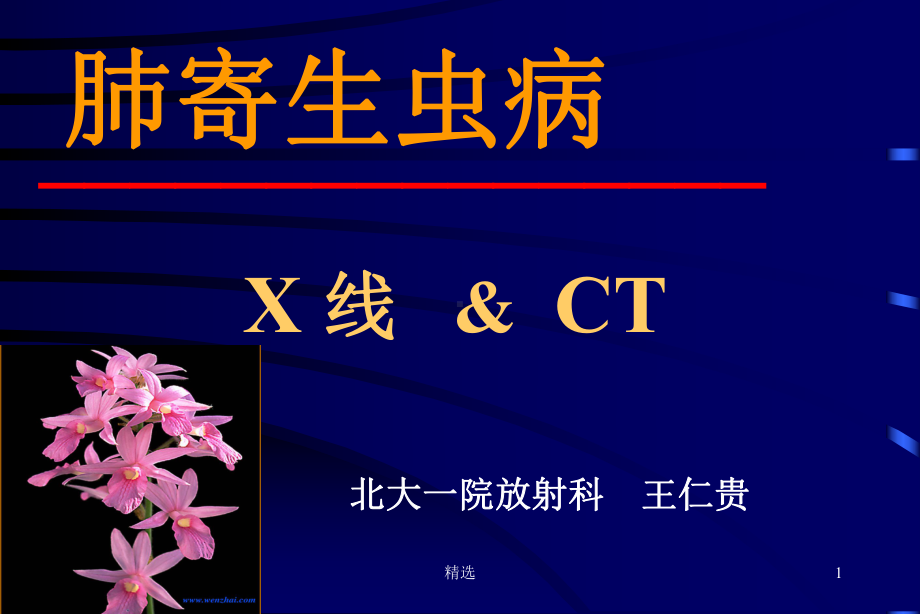 新版肺寄生虫病-X线&amp;CT课件.ppt_第1页