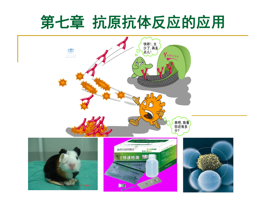 抗原抗体的反应课件.ppt_第1页