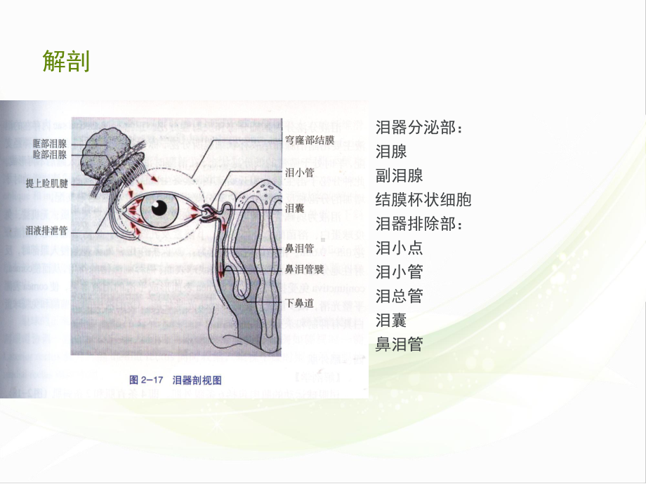 泪器疾病课件.ppt_第2页