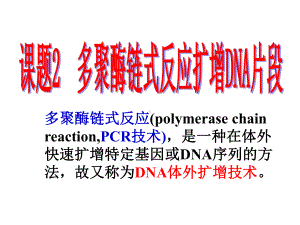 多聚酶链式反应扩增DNA片段课件.ppt