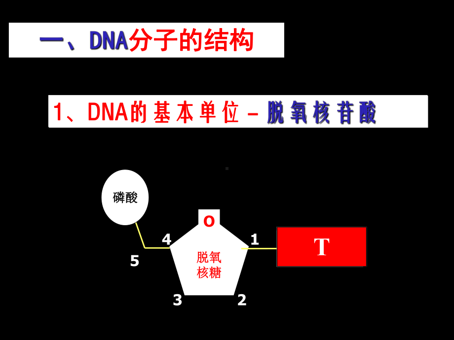 多聚酶链式反应扩增DNA片段课件.ppt_第2页