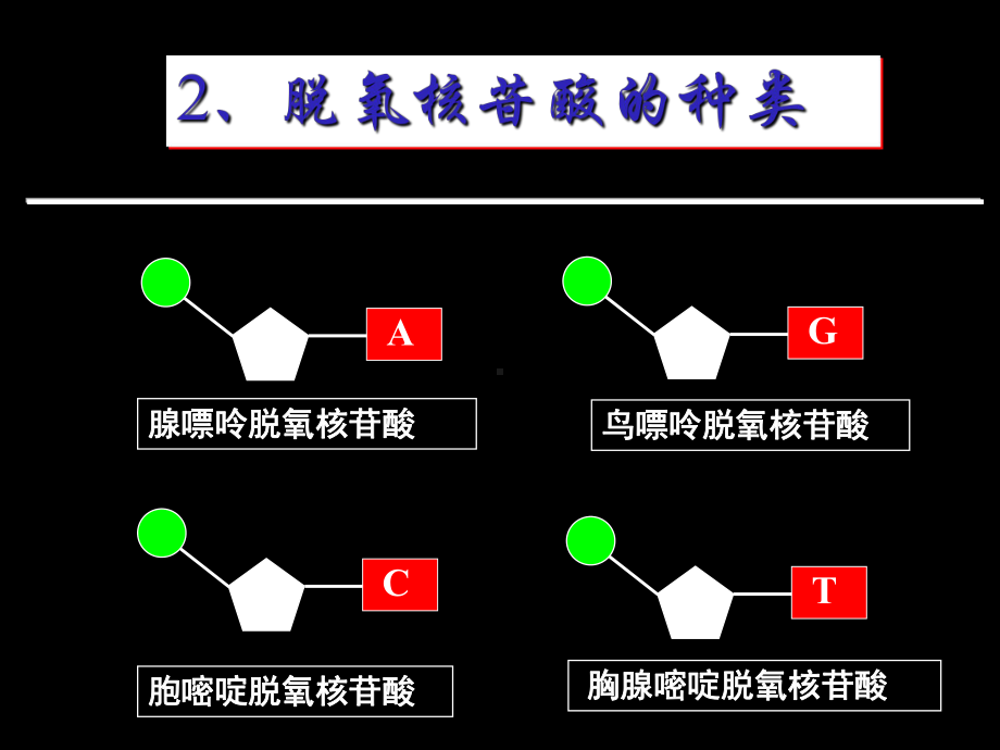 多聚酶链式反应扩增DNA片段课件.ppt_第3页