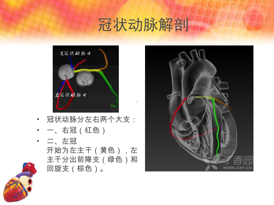 急性心肌梗死罪犯血管的心电图判断课件.ppt_第3页