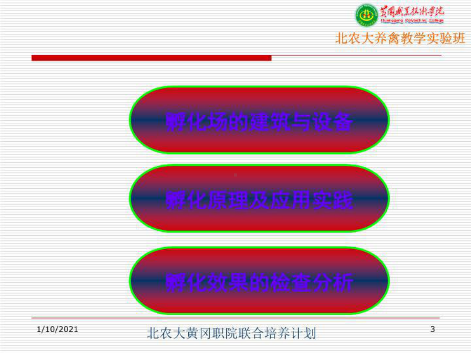 最新家禽孵化课件.ppt_第3页