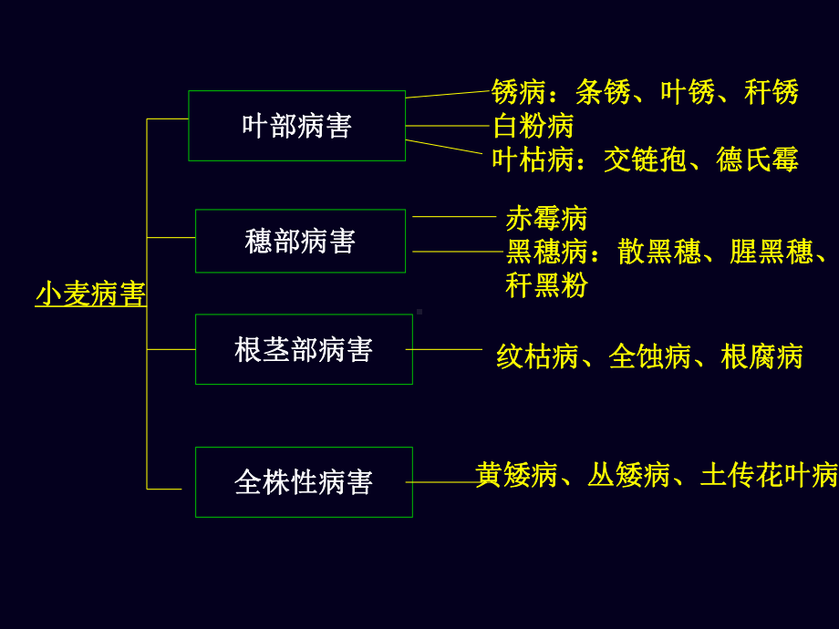 小麦病虫害防治技术课件.ppt_第3页