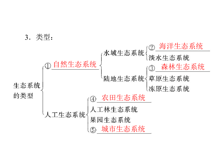 生态系统的结构课件正式版.ppt_第3页