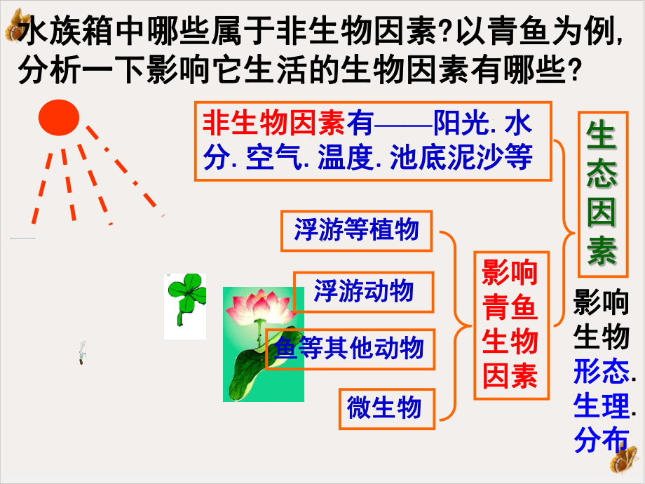 生态系统和生态平衡课件(模板).pptx_第1页