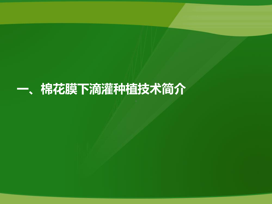 棉花膜下滴灌栽培技术课件.ppt_第2页