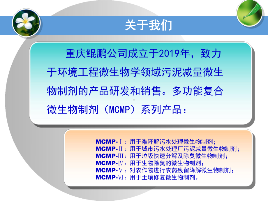 污水处理课件.ppt_第3页