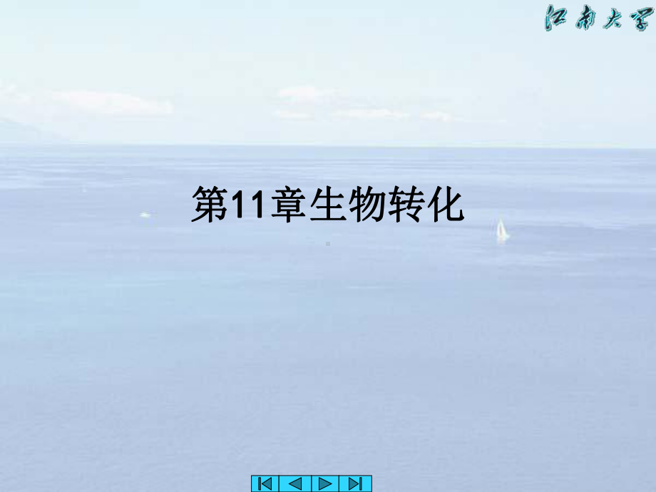 第11章生物转化课件.ppt_第1页