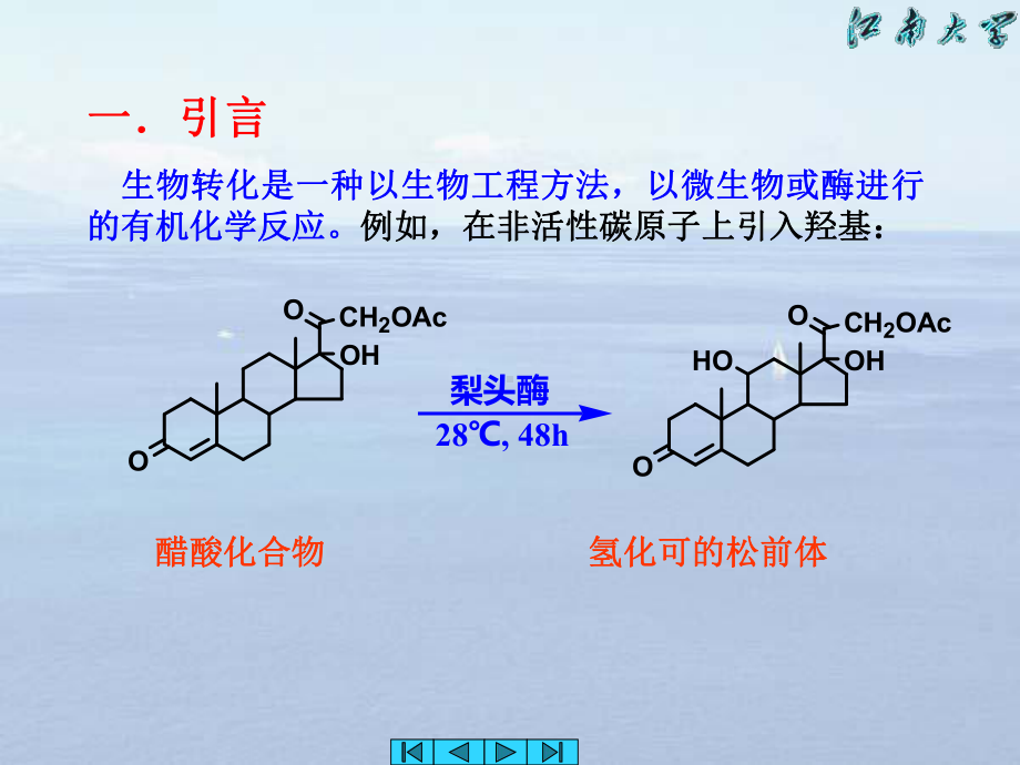 第11章生物转化课件.ppt_第2页