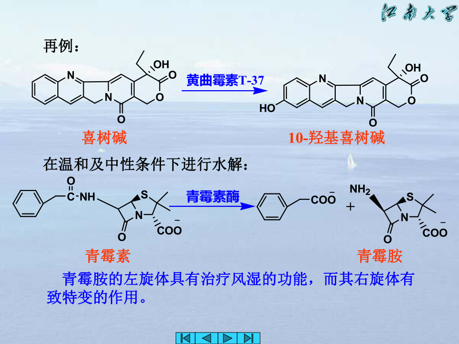 第11章生物转化课件.ppt_第3页