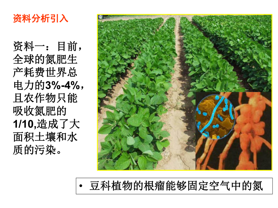 基因工程及应用上课用课件.ppt_第1页