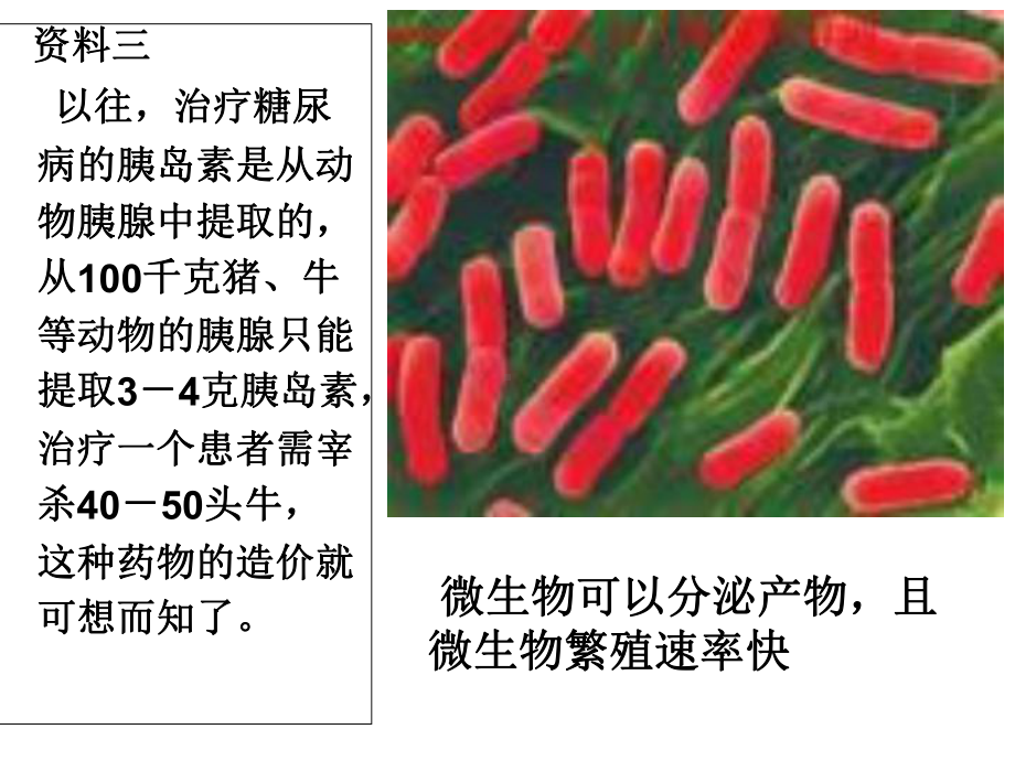 基因工程及应用上课用课件.ppt_第3页