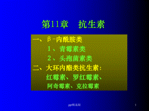 抗生素精1精选课件.ppt