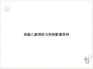 流脑乙脑预防与控制影像资料课件.ppt