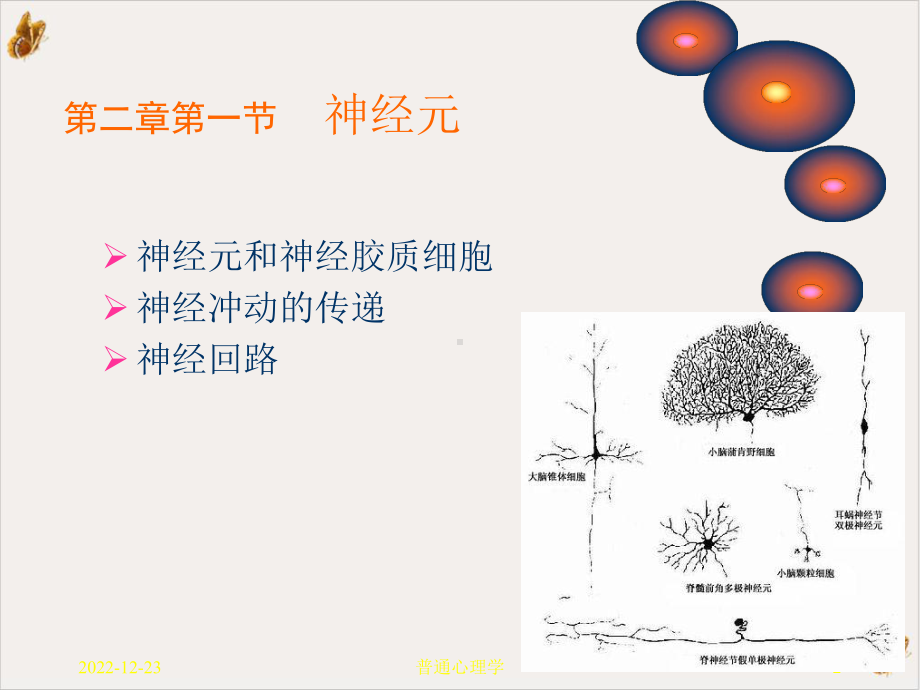 心理学心理的神经生理机制课件.ppt_第2页