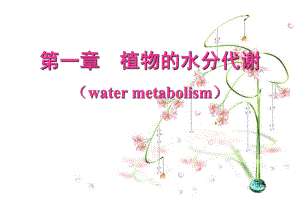 植物水分生理课件.ppt