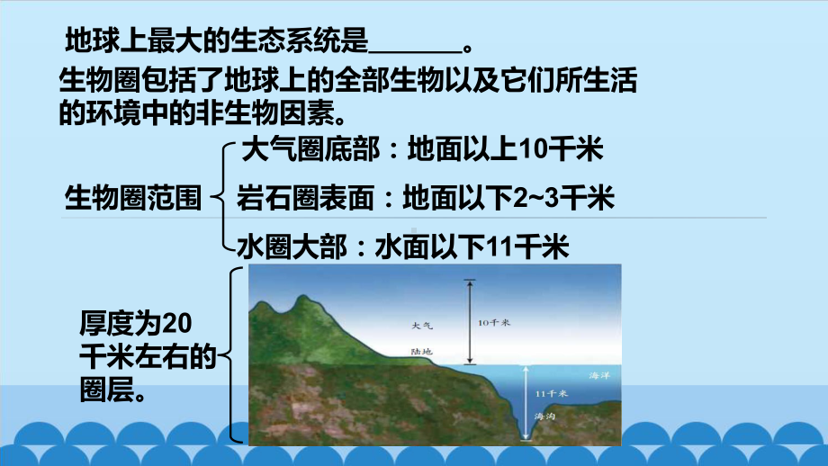 浙教版科学九级下册生态系统的结构和功能课件.pptx_第3页