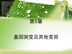 第5章基因突变及其他变异课件.ppt