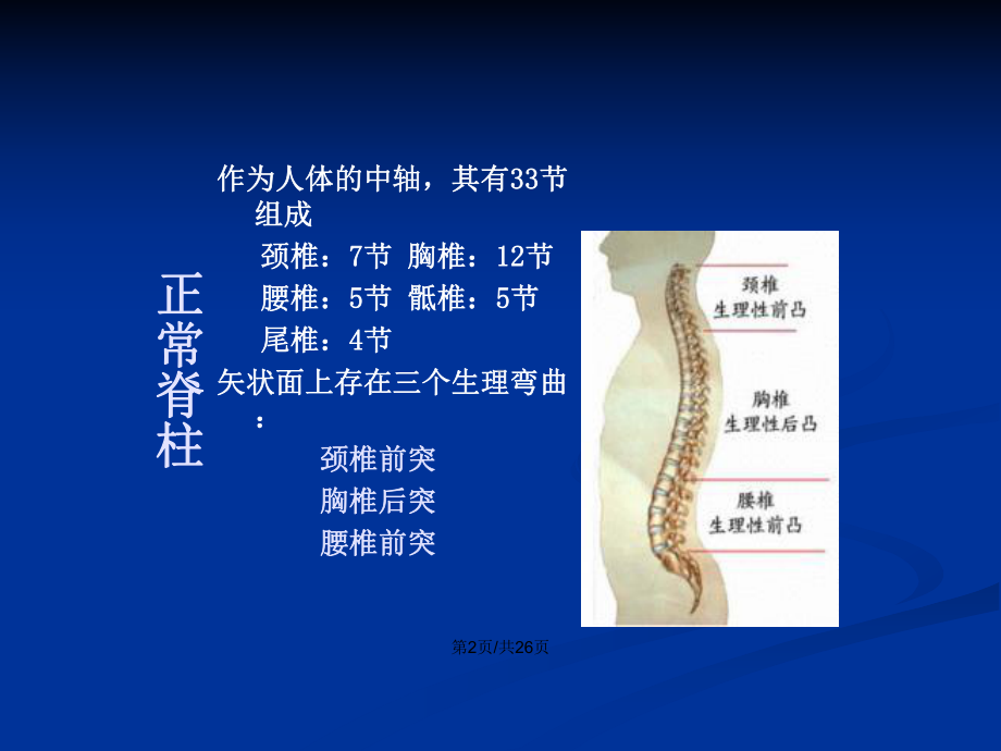 脊柱侧弯病人的护理教案课件.pptx_第3页