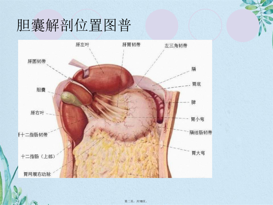 胆总管探查手术配合课件.pptx_第2页