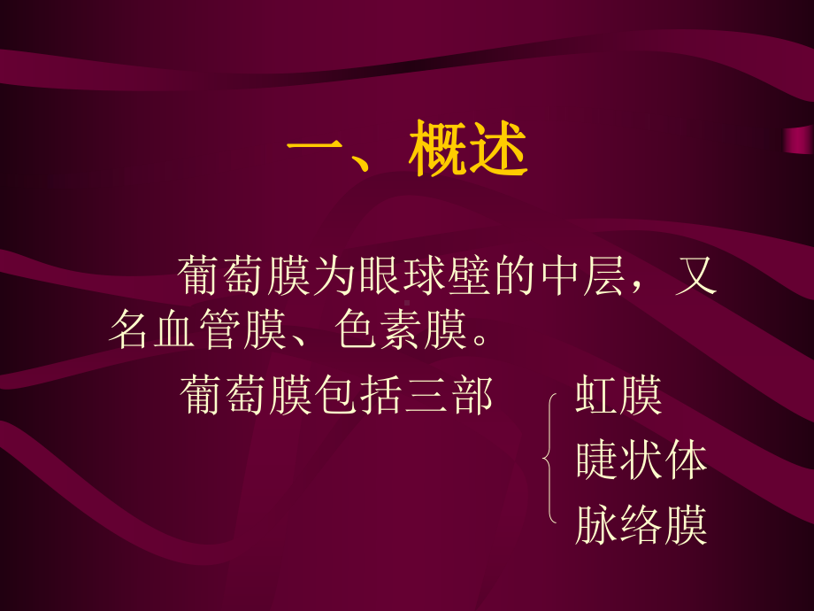 葡萄膜炎-课件.ppt_第2页